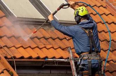 Démoussage et hydrofuge de toiture à Neufmoulin